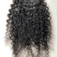 Top Virgin Classic Clip in Extension #1B - Burmese Curly